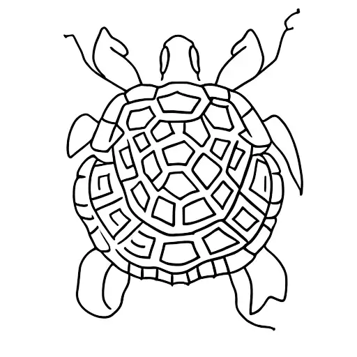 Turtle