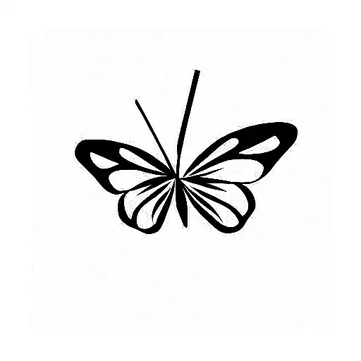 Butterfly Shot With Arrow