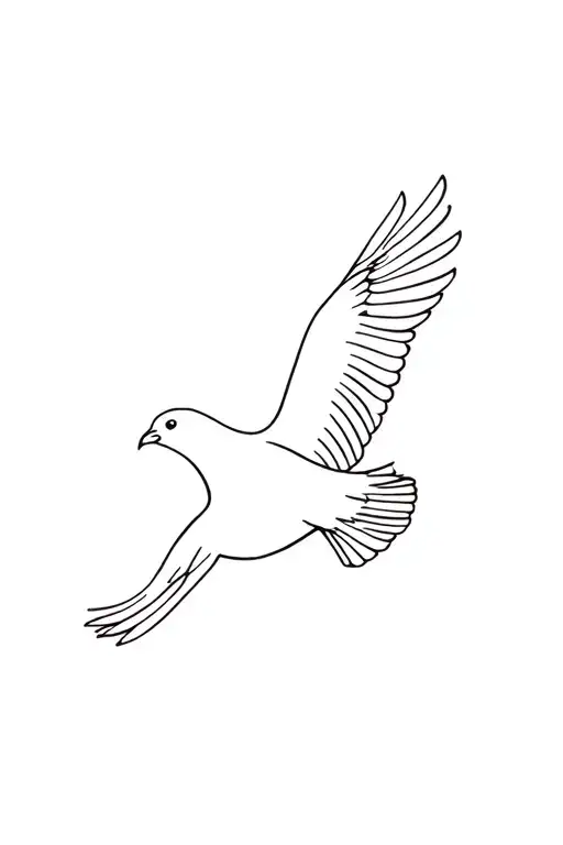 Kea Bird Flying Bird