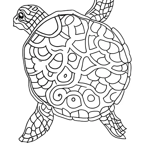 Lotus Turtle