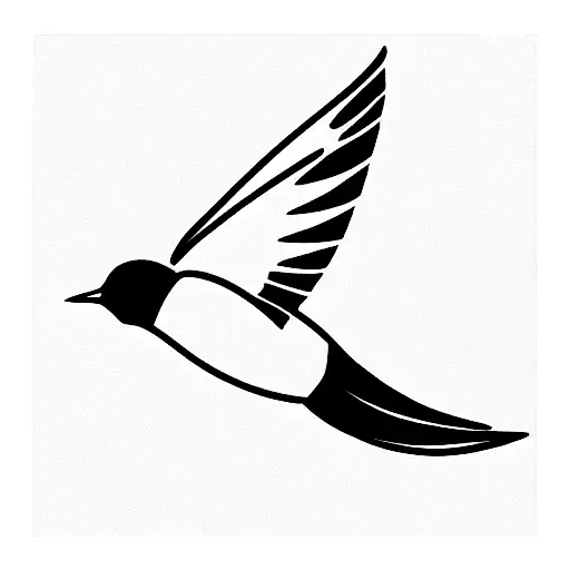 Swallow Bird