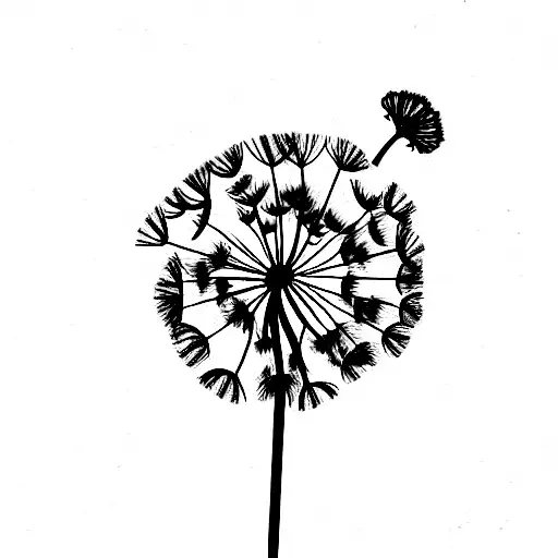 Dandelion