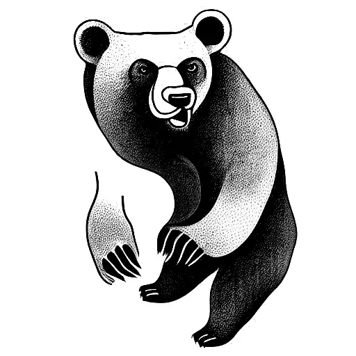 A Roaring Bear On All Fours