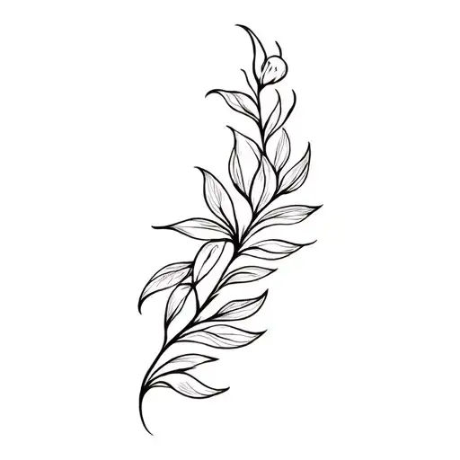 Phoenix Flower Large Black Leaves