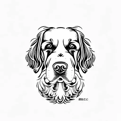 Cocker Spaniel Dog Sleeping