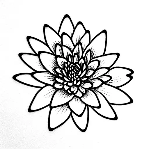 Chrysanthemum And Water Lily