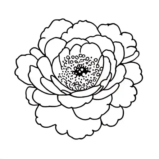 Word 'Camellia' Written