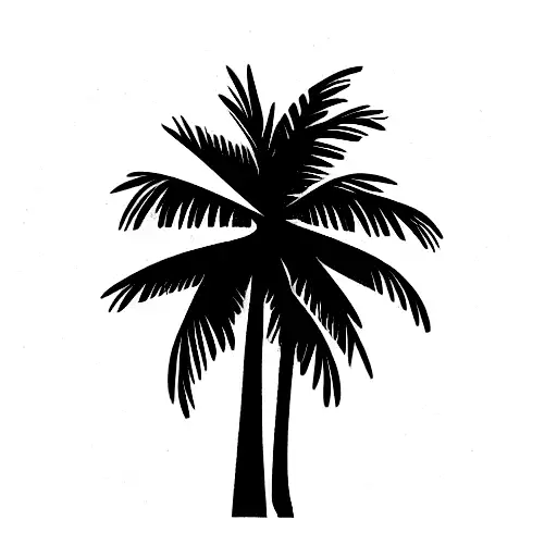 Palm Tree