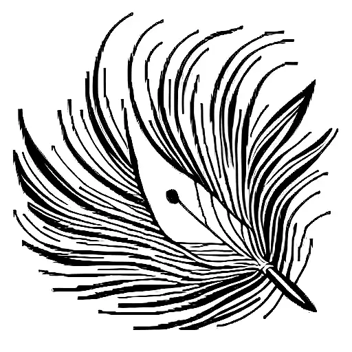 Peacock Feather On Fire