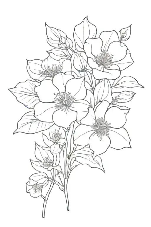 January And September Birth Flowers