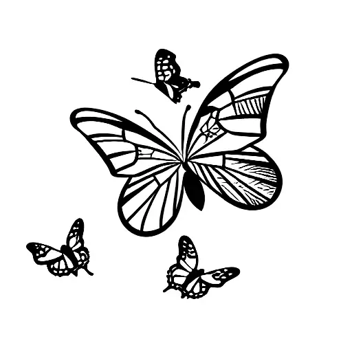 Airplane With Butterflies