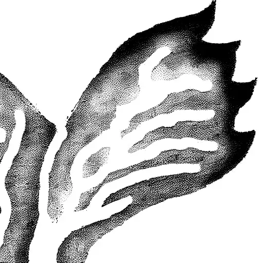 One Angel Wing Mixed With A Semicolon