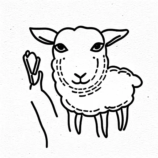 Lamb Held By Female Caregiver