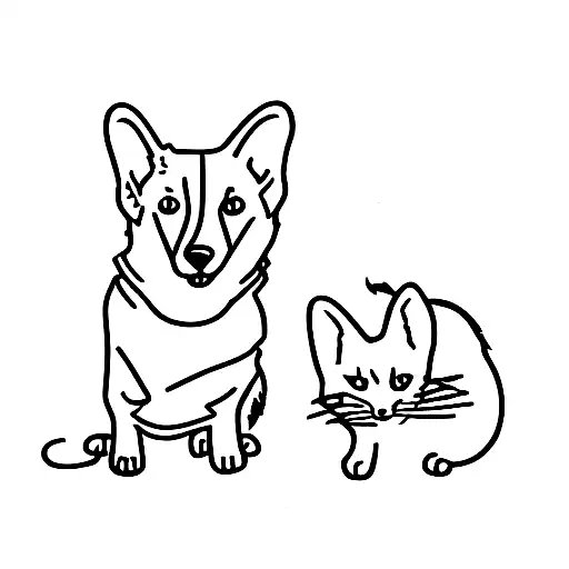 Two Corgis And A Cat