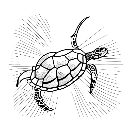 A Sea Turtle Listening To Music And Meditating