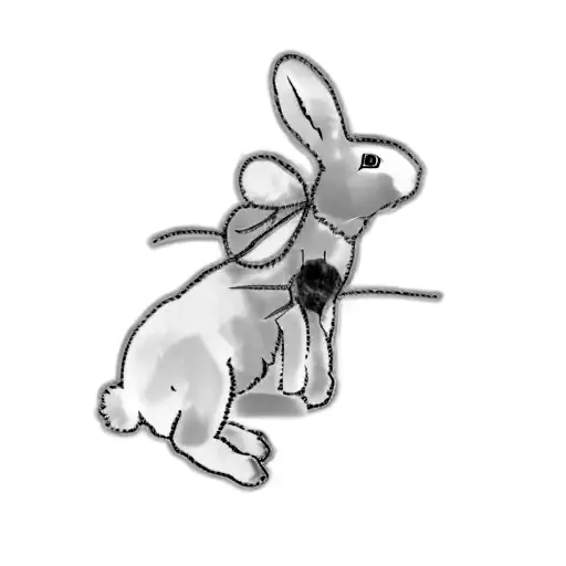 A Rabbit On A Black Background