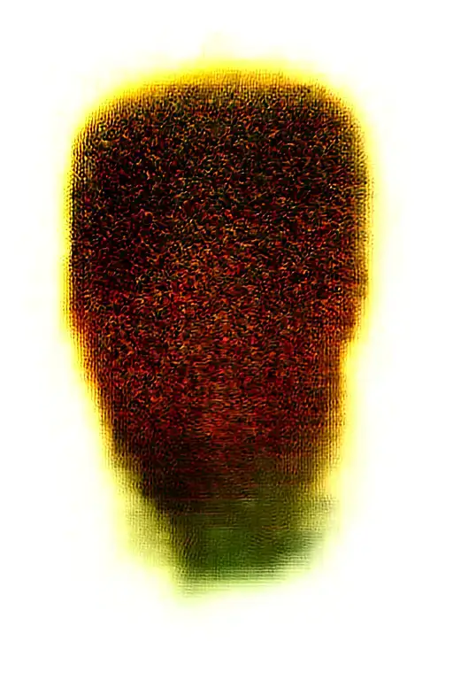 Medevil Dragon Wrapped Loosely