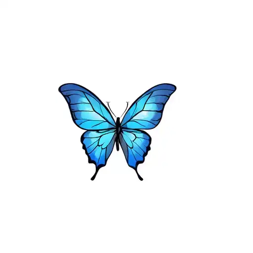 Blue Butterfly