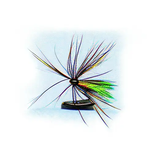 Fly Fishing Flies Detailed