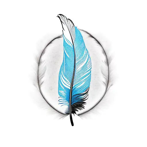 Black And White And Blue Feather