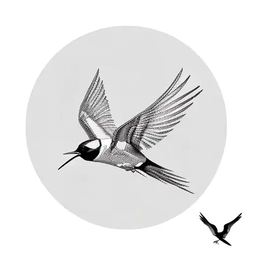 Swallow Bird With Bones