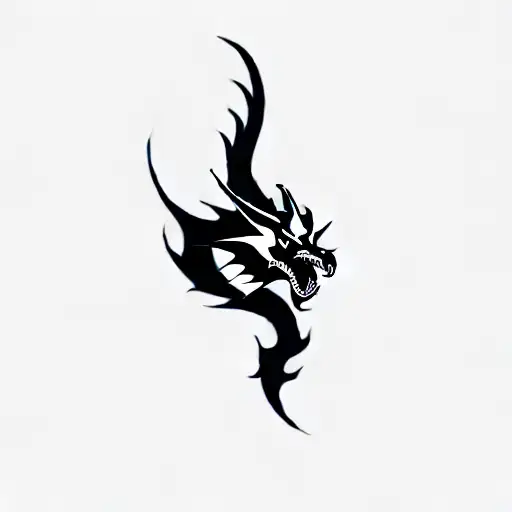 A Dragon