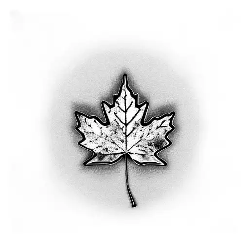Red Maple Leaf With Black And Grey Band