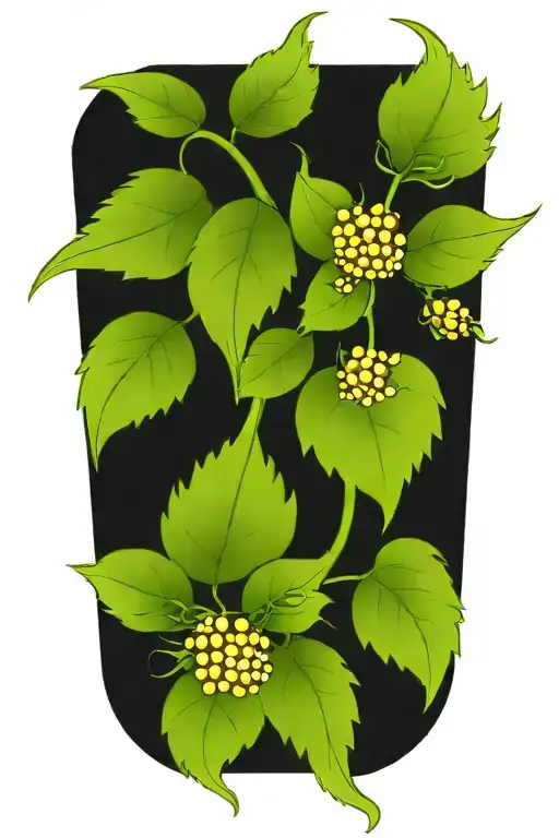 Blackberry Branch With Flowers