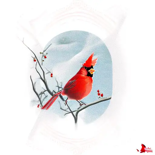 Red Cardinal Bird With A Scar In The Eye