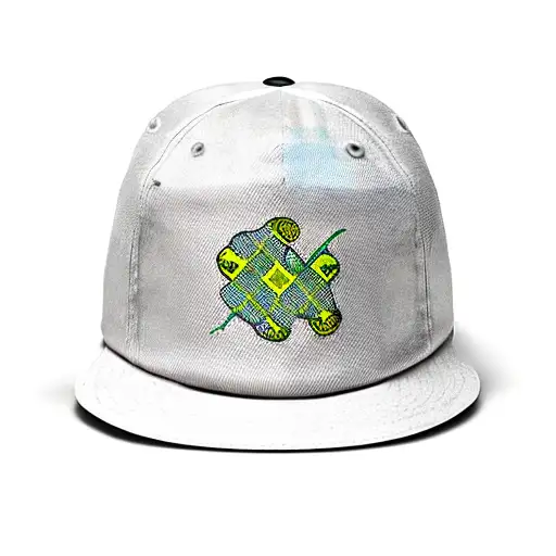 Skull And Cross Bones With The Irish Flag Hat
