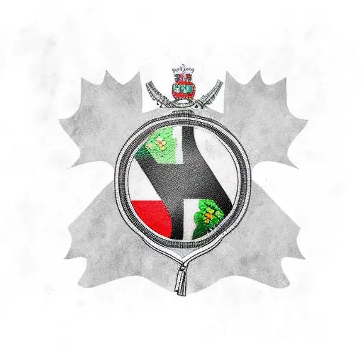 Irish Romanian Canadian