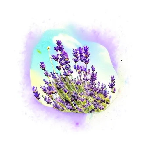 The Word Lavender In Font With Lavenders