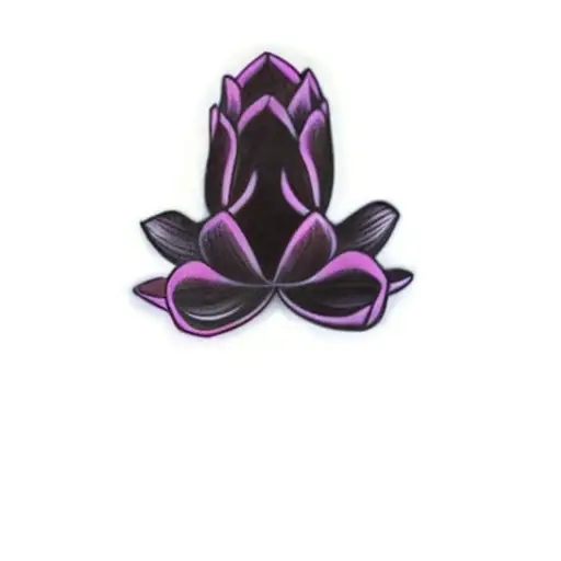 A Lotus Flower