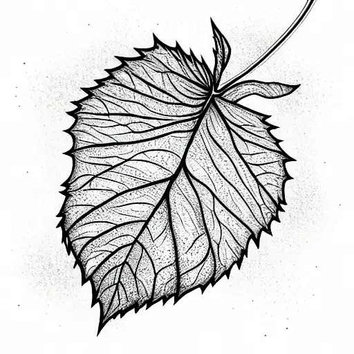 Leaf