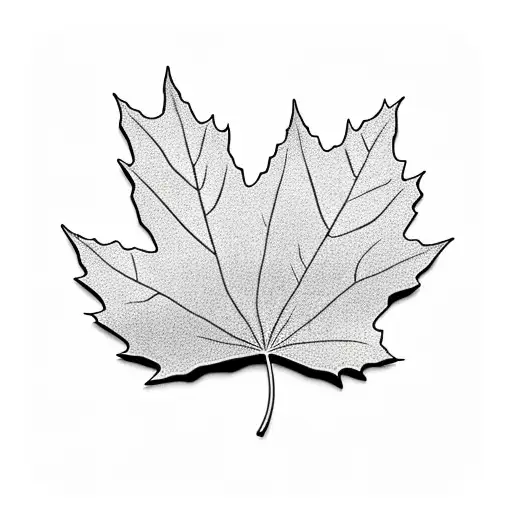 Maple Leaf