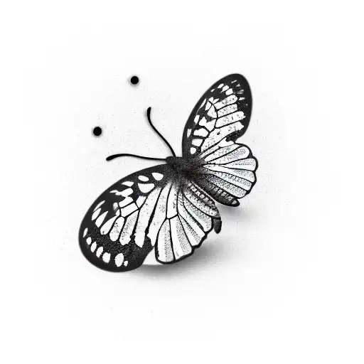 Semicolon Butterfly