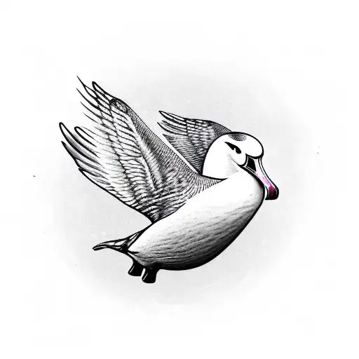 Albatross Bird That Flying Away Flapping Its Wings