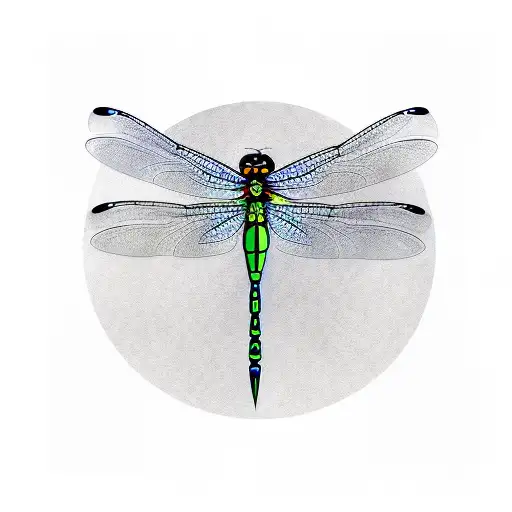 Dragonfly