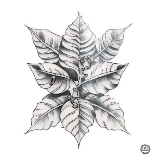 A Branch Of A Coffee Plant