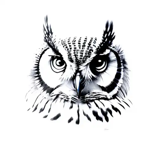 Ferocious Owl Grey And Black With Brilliant Highlights