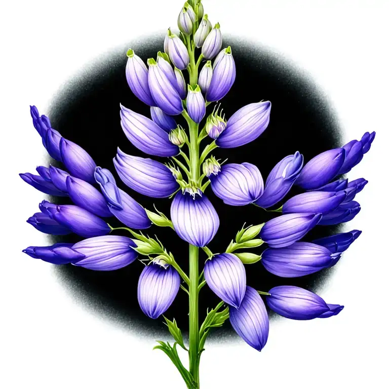Lupine Flower With Long Stem