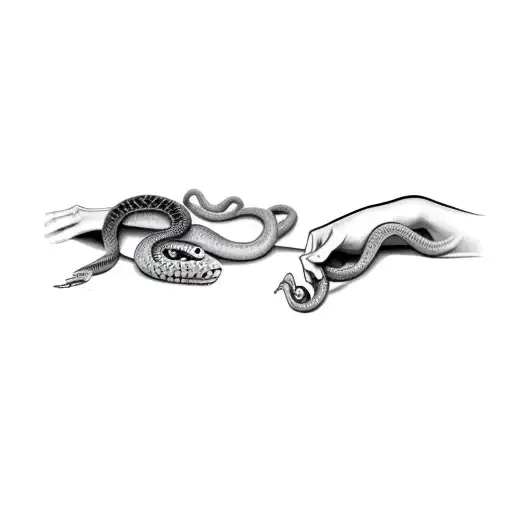 A Snake And A Woman Hand