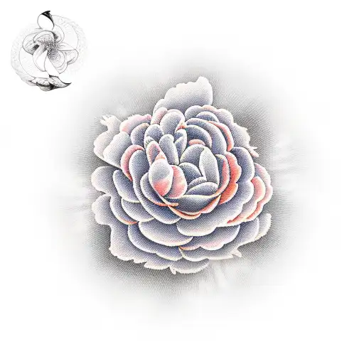 Pink And Orange Peonies Around A Sunset On The Ocean