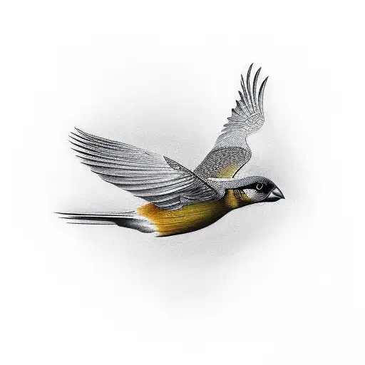 Bird Flying With Bomb