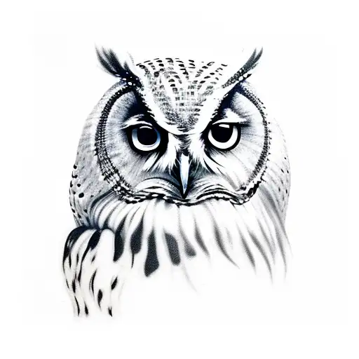 Owl Side View