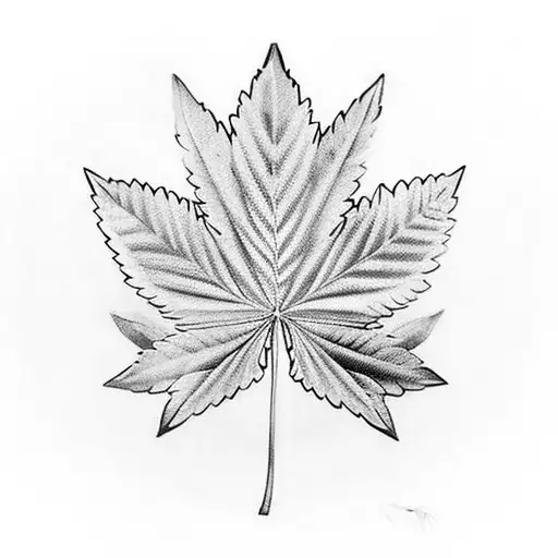 Weed Leaf With The Shyline Of Seattle In The Middle