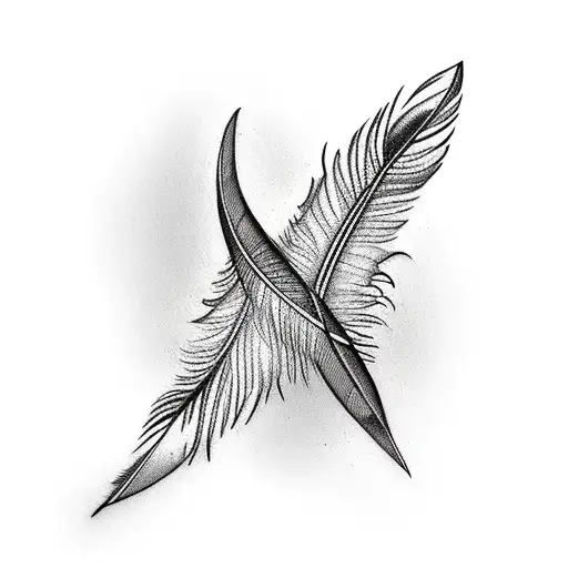 Feather With Flying Birds