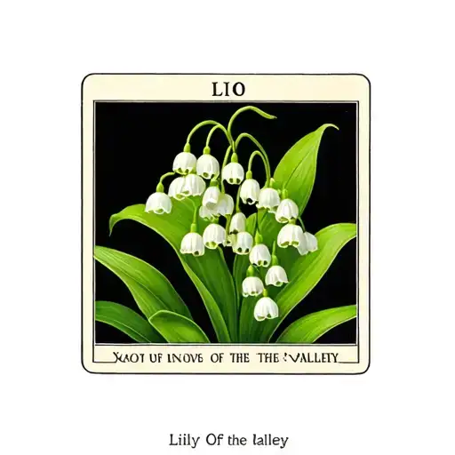 Lily Of The Valley Meaning Death Tarot Card