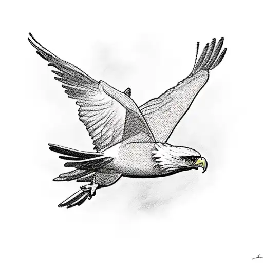 Small Eagle Flying Over Pinetrees