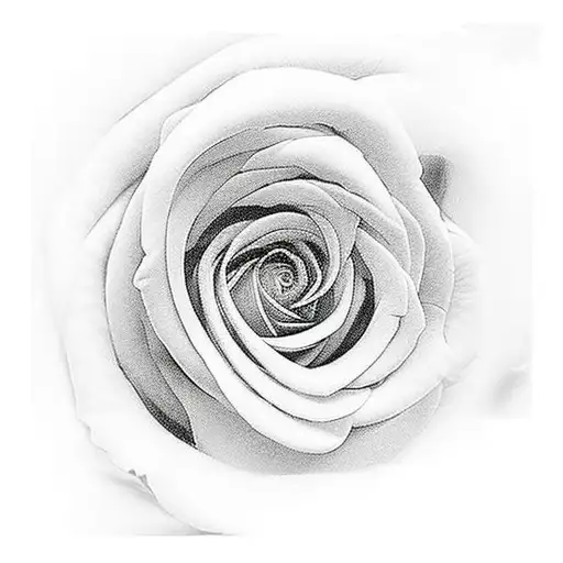 Stairway To Heaven With Clouds Roses Sunlight And The Pearly Gates